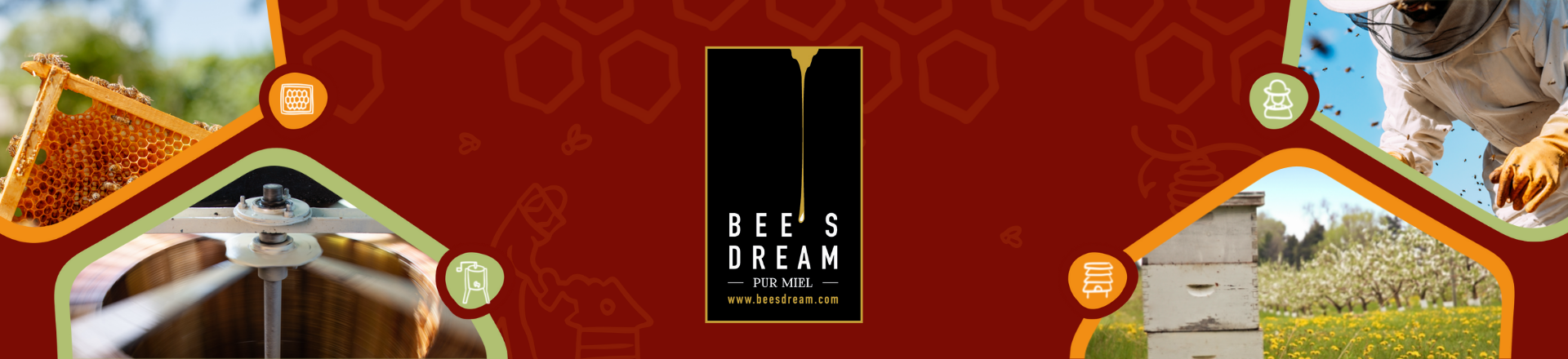 Bee's Dream